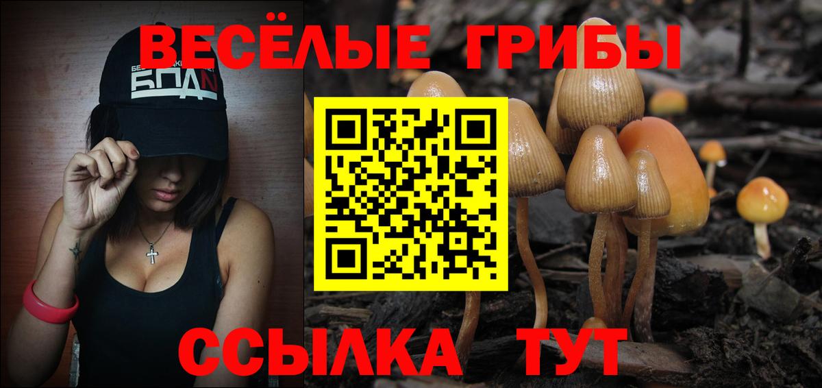 Галлюциногенные грибы ЛСД  Вход с VPN  Чернушка  сколько стоит  Псилоцибиновые грибы GOLDEN TEACHER 