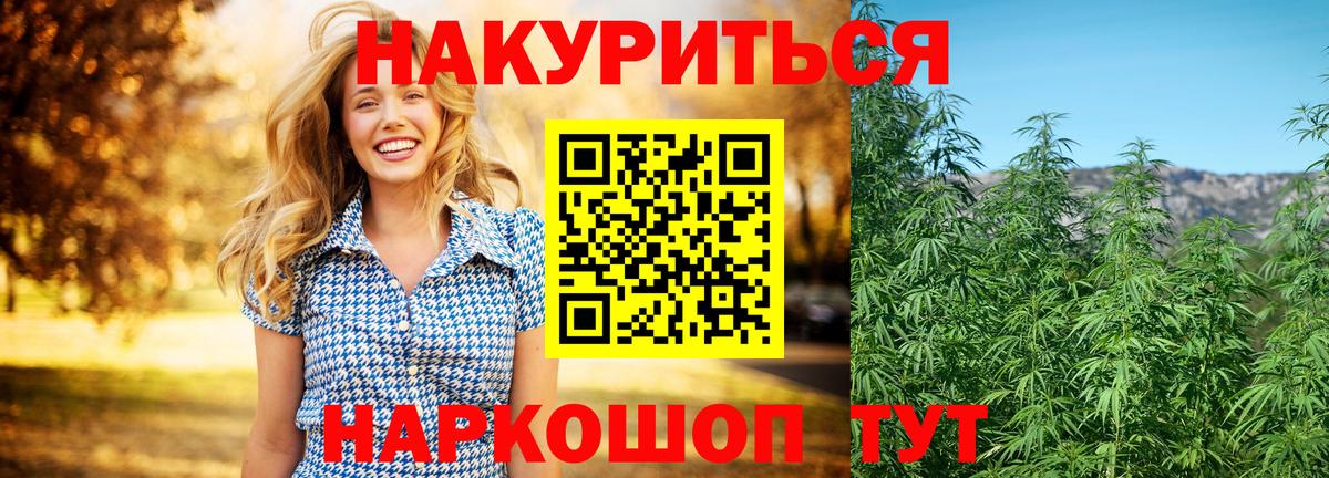 Конопля сатива Чернушка